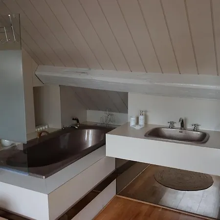 Loft Duplex 33 Career Διαμέρισμα Νανσύ