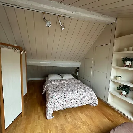 Appartement Loft Duplex 33 Career Nancy